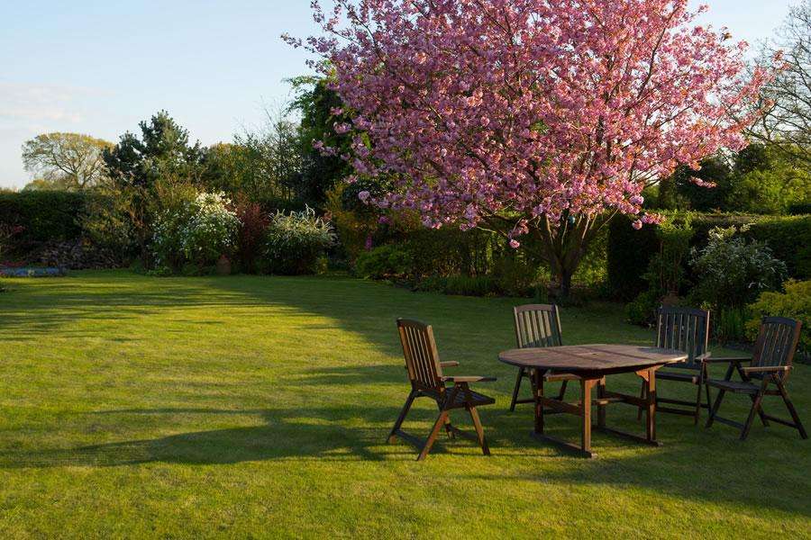 Experience Superior Lawn Care with Keys Brothers Horticulture Ltd!
